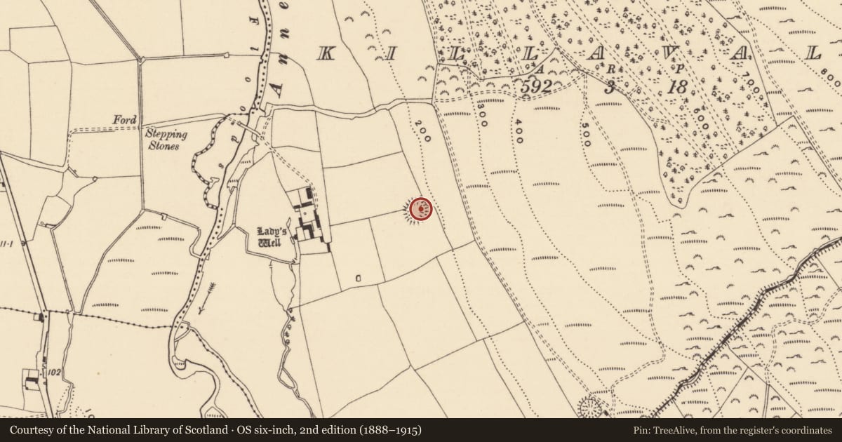 Ordnance Survey six-inch map, 2nd edition (1888–1915) covering the location of Ringfort - rath, Killavally, County Tipperary South, with a pin at the register's coordinates
