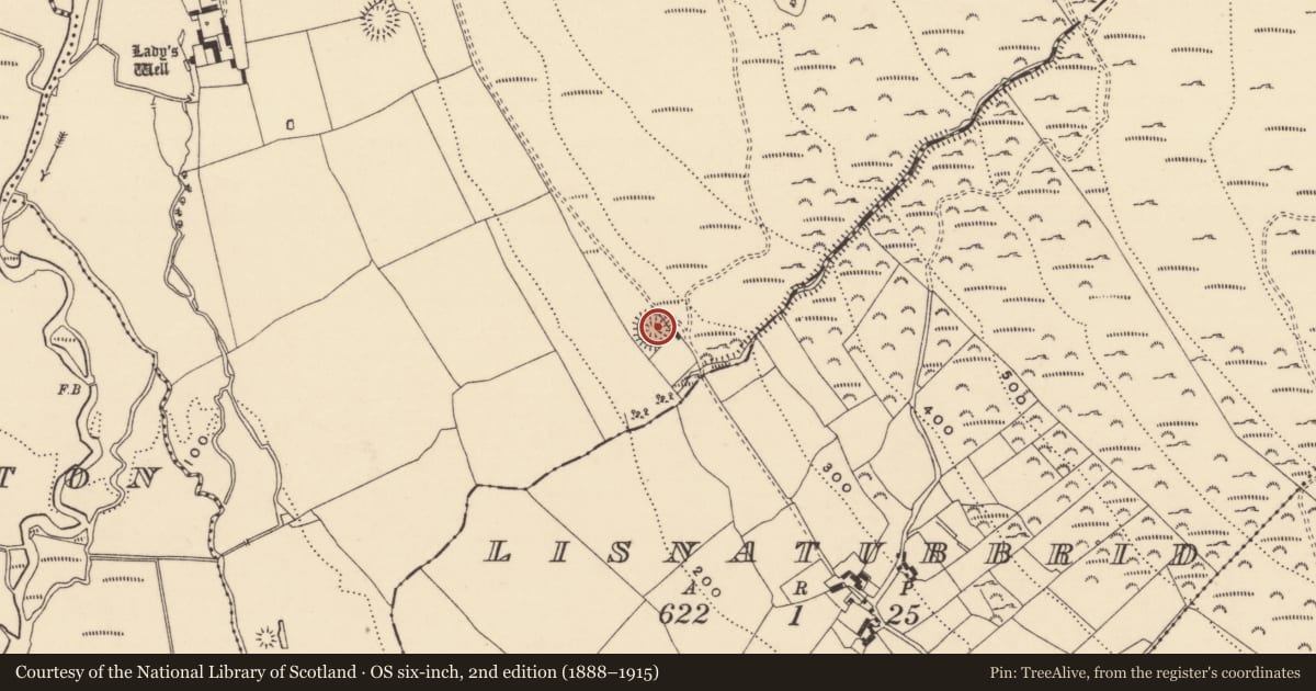 Ordnance Survey six-inch map, 2nd edition (1888–1915) covering the location of Ringfort - rath, Killavally, County Tipperary South, with a pin at the register's coordinates