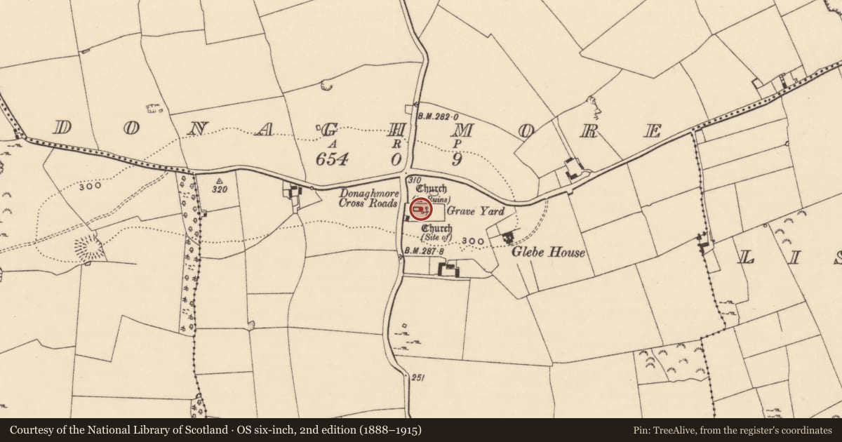 Ordnance Survey six-inch map, 2nd edition (1888–1915) covering the location of Graveslab, Donaghmore, County Tipperary South, with a pin at the register's coordinates
