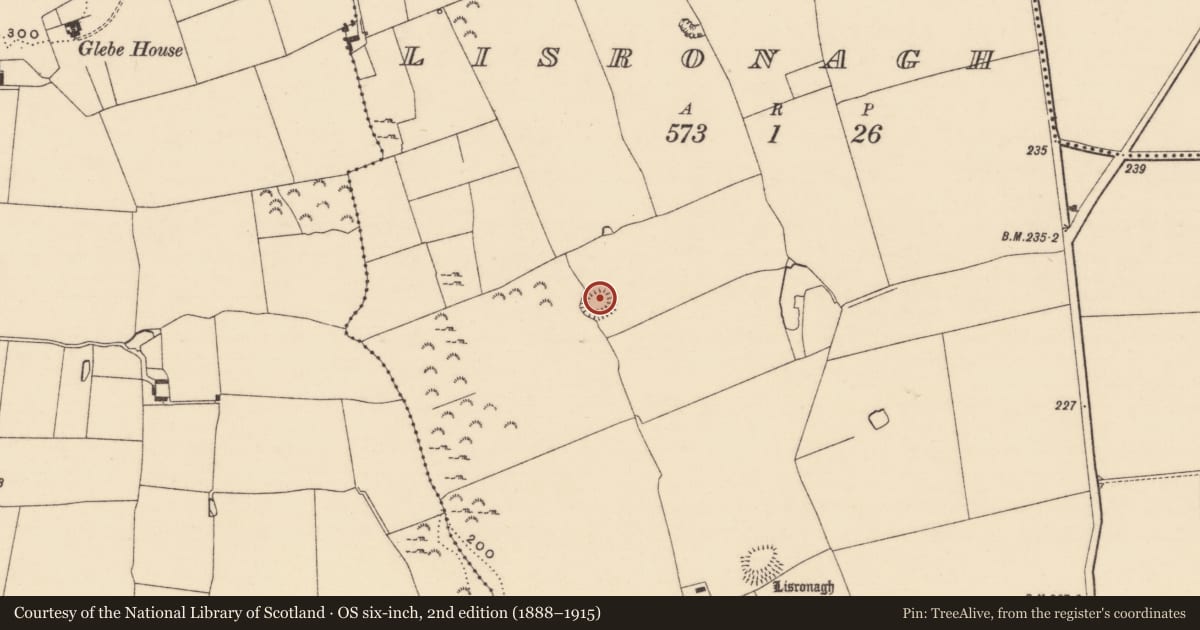 Ordnance Survey six-inch map, 2nd edition (1888–1915) covering the location of Ringfort - rath, Lisronagh, County Tipperary South, with a pin at the register's coordinates