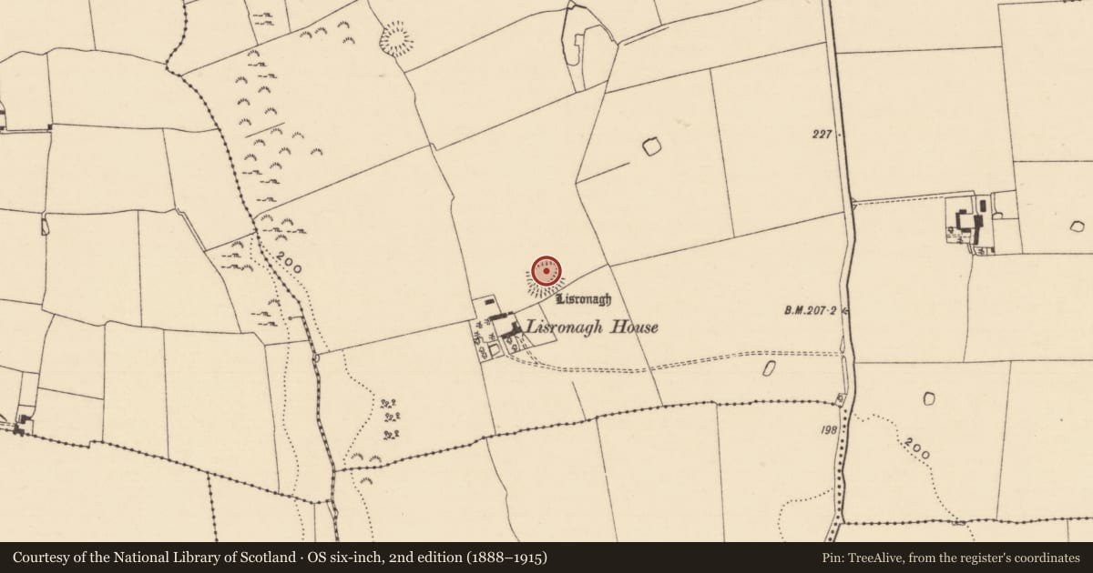 Ordnance Survey six-inch map, 2nd edition (1888–1915) covering the location of Ringfort - rath, Lisronagh, County Tipperary South, with a pin at the register's coordinates