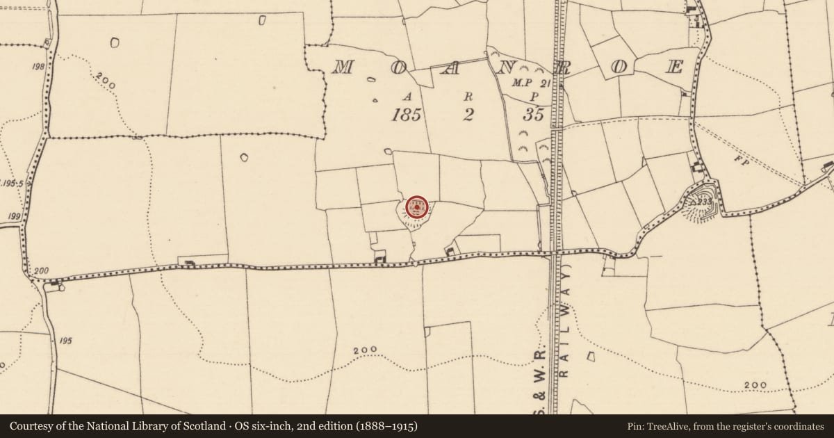 Ordnance Survey six-inch map, 2nd edition (1888–1915) covering the location of Castle - ringwork and bailey, Moanroe, County Tipperary South, with a pin at the register's coordinates