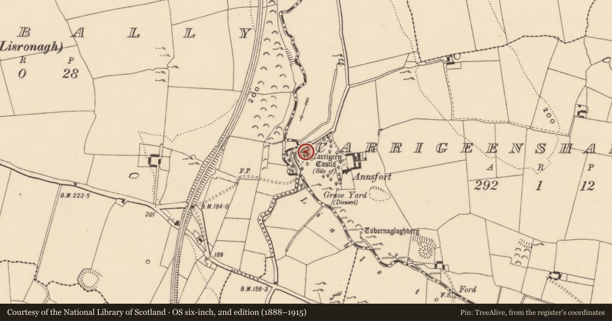 Ordnance Survey six-inch map, 2nd edition (1888–1915) covering the location of Castle - unclassified, Carrigeensharragh, County Tipperary South, with a pin at the register's coordinates