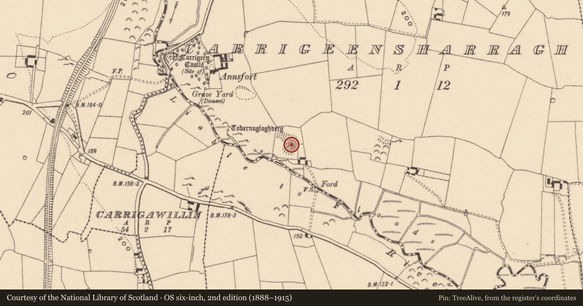 Ordnance Survey six-inch map, 2nd edition (1888–1915) covering the location of Ringfort - rath, Carrigeensharragh, County Tipperary South, with a pin at the register's coordinates