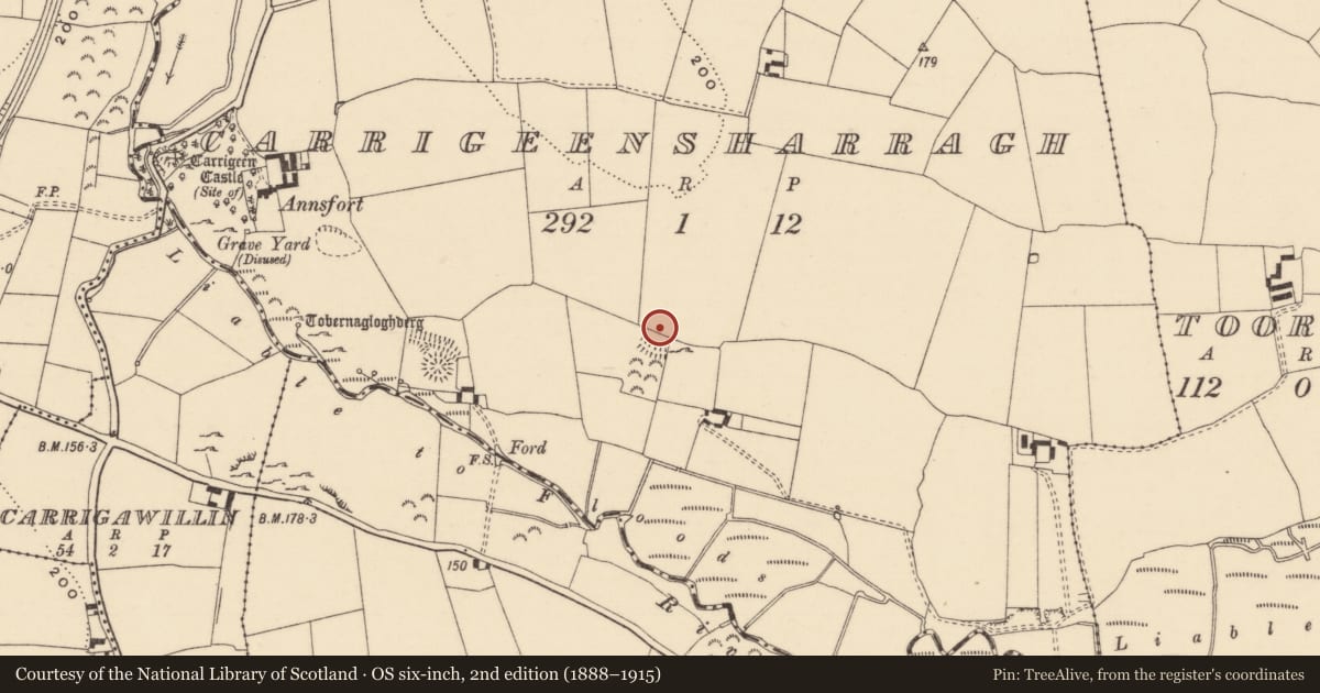 Ordnance Survey six-inch map, 2nd edition (1888–1915) covering the location of Enclosure, Carrigeensharragh, County Tipperary South, with a pin at the register's coordinates