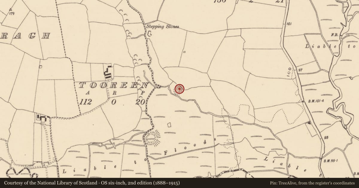 Ordnance Survey six-inch map, 2nd edition (1888–1915) covering the location of Ringfort - rath, Milltown Britton, County Tipperary South, with a pin at the register's coordinates