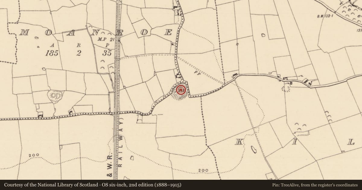 Ordnance Survey six-inch map, 2nd edition (1888–1915) covering the location of Ringfort - rath, Caherclogh, County Tipperary South, with a pin at the register's coordinates