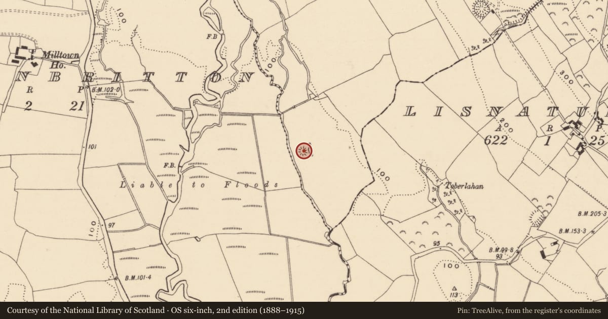 Ordnance Survey six-inch map, 2nd edition (1888–1915) covering the location of Barrow - unclassified, Killavally, County Tipperary South, with a pin at the register's coordinates