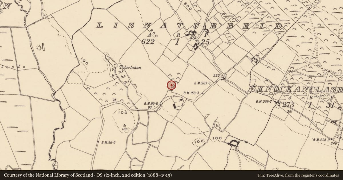 Ordnance Survey six-inch map, 2nd edition (1888–1915) covering the location of Ringfort - rath, Lisnatubbrid, County Tipperary South, with a pin at the register's coordinates