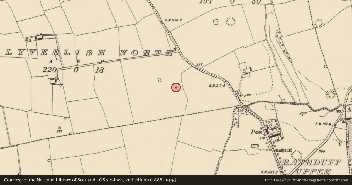Ordnance Survey six-inch map, 2nd edition (1888–1915) covering the location of Moated site, Ballyveelish North, County Tipperary South, with a pin at the register's coordinates