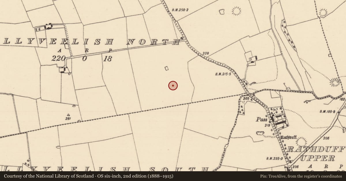 Ordnance Survey six-inch map, 2nd edition (1888–1915) covering the location of Enclosure, Ballyveelish North, County Tipperary South, with a pin at the register's coordinates