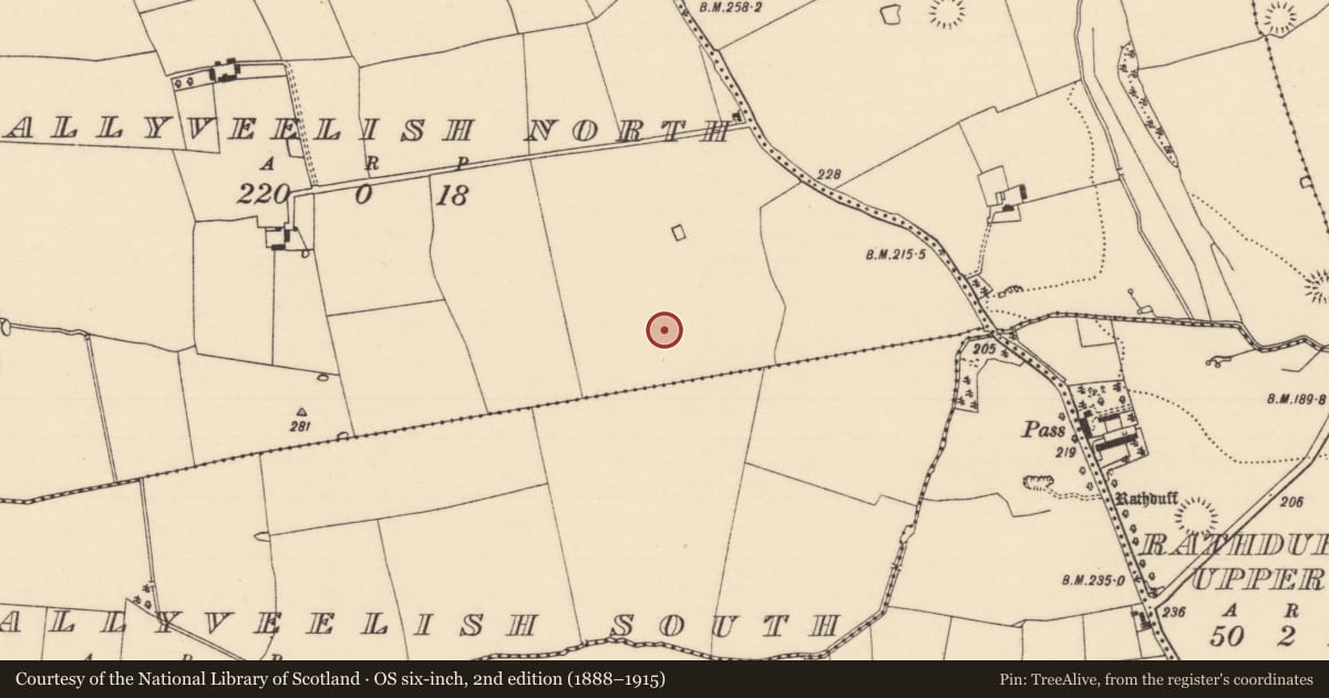 Ordnance Survey six-inch map, 2nd edition (1888–1915) covering the location of Cist, Ballyveelish North, County Tipperary South, with a pin at the register's coordinates