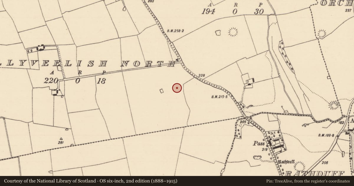 Ordnance Survey six-inch map, 2nd edition (1888–1915) covering the location of Enclosure, Ballyveelish North, County Tipperary South, with a pin at the register's coordinates