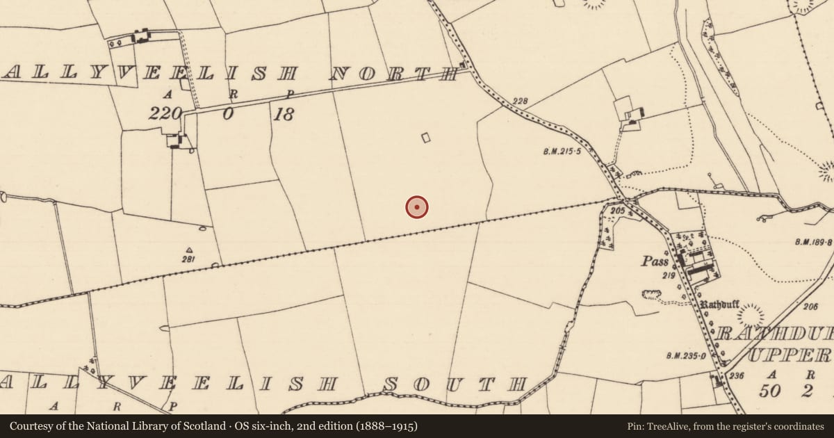 Ordnance Survey six-inch map, 2nd edition (1888–1915) covering the location of Excavation - miscellaneous, Ballyveelish North, County Tipperary South, with a pin at the register's coordinates