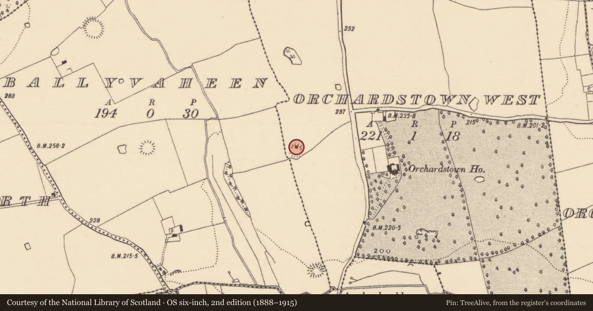 Ordnance Survey six-inch map, 2nd edition (1888–1915) covering the location of Ringfort - rath, Orchardstown West, County Tipperary South, with a pin at the register's coordinates