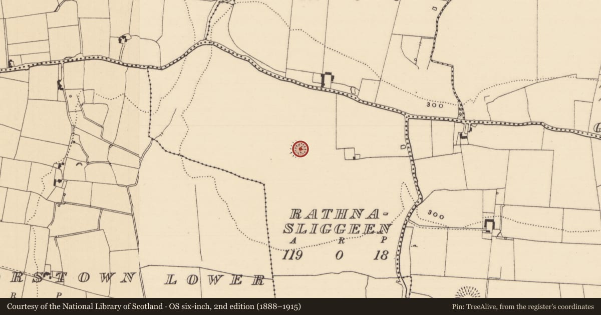 Ordnance Survey six-inch map, 2nd edition (1888–1915) covering the location of Ringfort - rath, Rathnasliggeen, County Tipperary South, with a pin at the register's coordinates