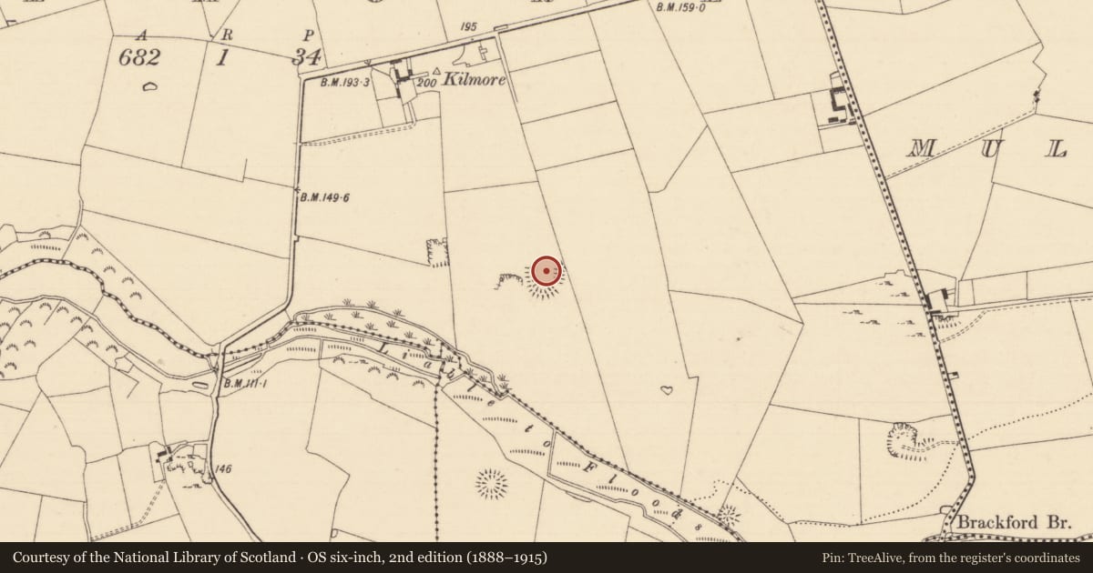 Ordnance Survey six-inch map, 2nd edition (1888–1915) covering the location of Ringfort - rath, Kilmore (Lisronagh Par.), County Tipperary South, with a pin at the register's coordinates