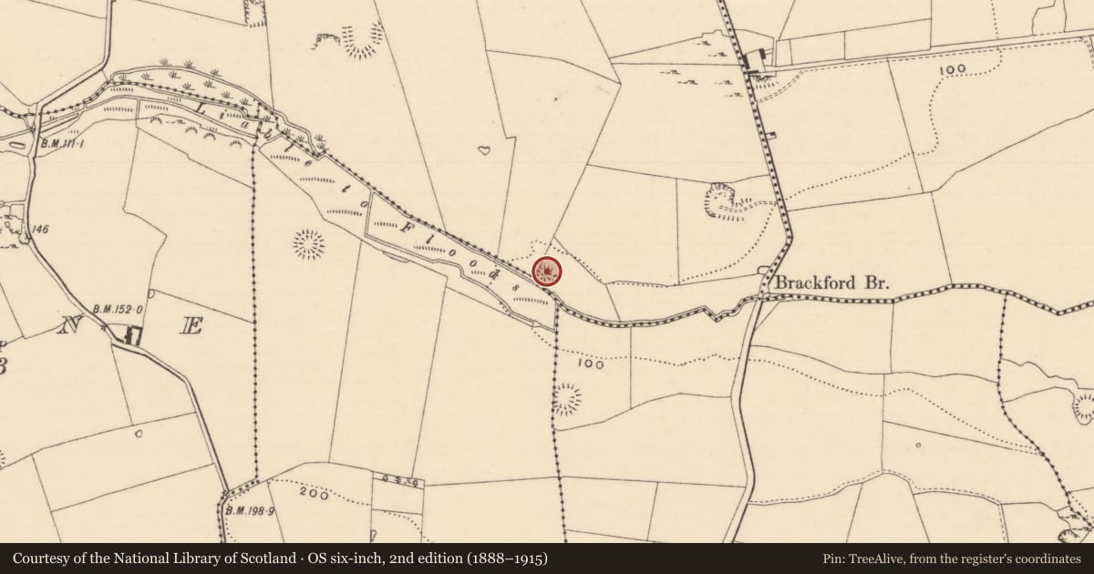Ordnance Survey six-inch map, 2nd edition (1888–1915) covering the location of Enclosure, Kilmore (Lisronagh Par.), County Tipperary South, with a pin at the register's coordinates