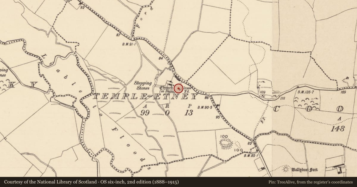 Ordnance Survey six-inch map, 2nd edition (1888–1915) covering the location of Bullaun stone, Temple-Etney, County Tipperary South, with a pin at the register's coordinates