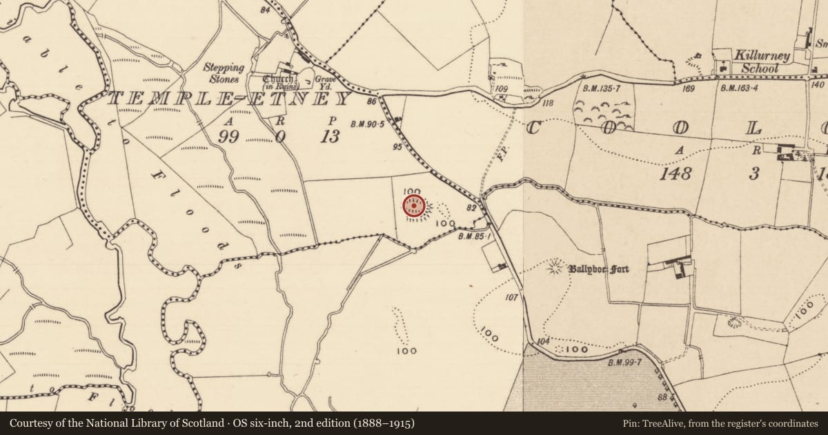 Ordnance Survey six-inch map, 2nd edition (1888–1915) covering the location of Enclosure, Temple-Etney, County Tipperary South, with a pin at the register's coordinates