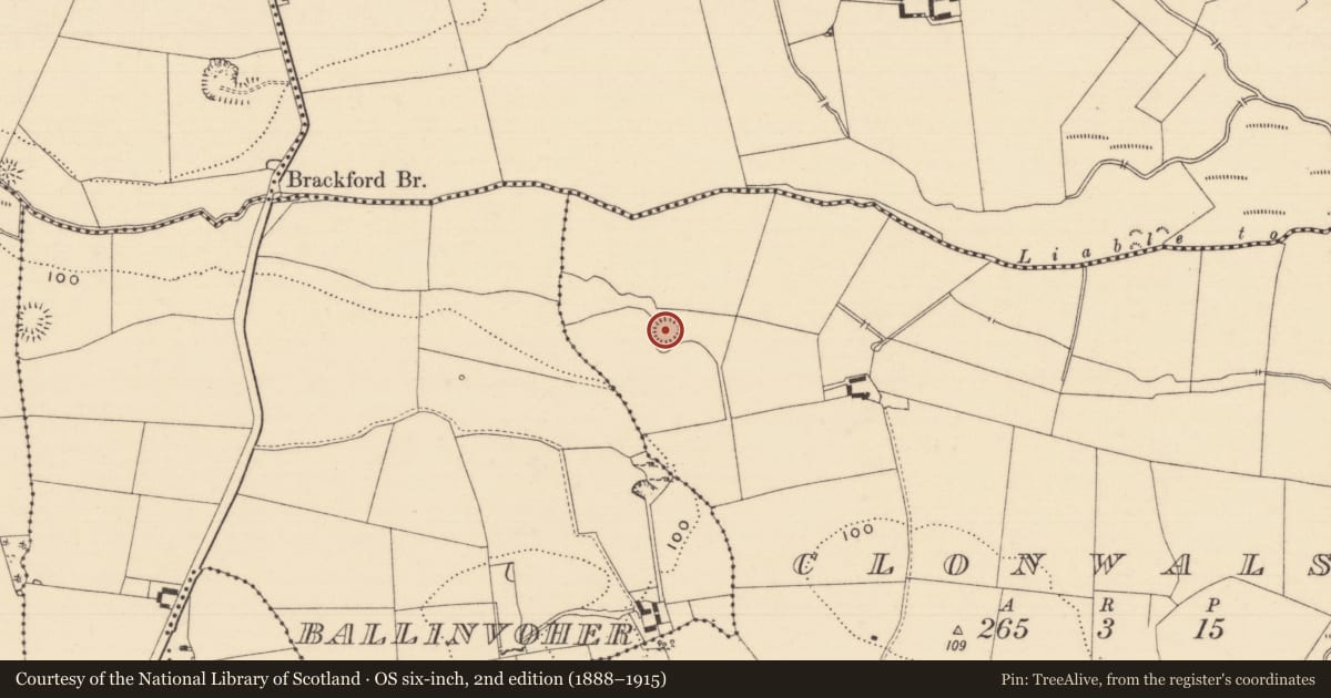 Ordnance Survey six-inch map, 2nd edition (1888–1915) covering the location of Castle - motte, Clonwalsh, County Tipperary South, with a pin at the register's coordinates