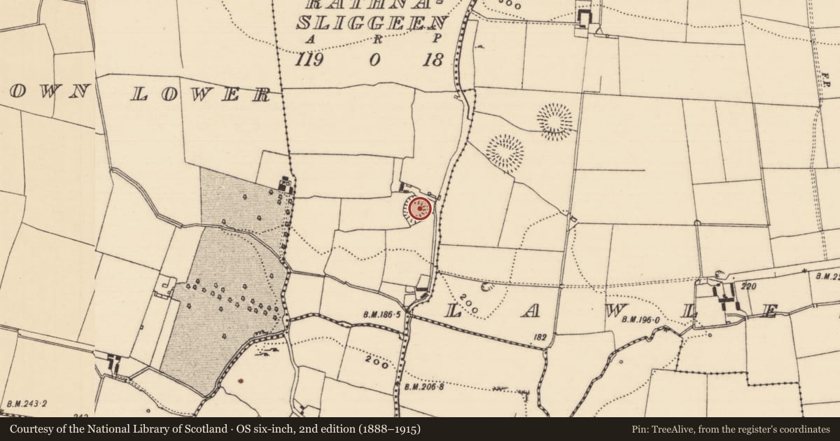 Ordnance Survey six-inch map, 2nd edition (1888–1915) covering the location of Enclosure, Rathnasliggeen, County Tipperary South, with a pin at the register's coordinates