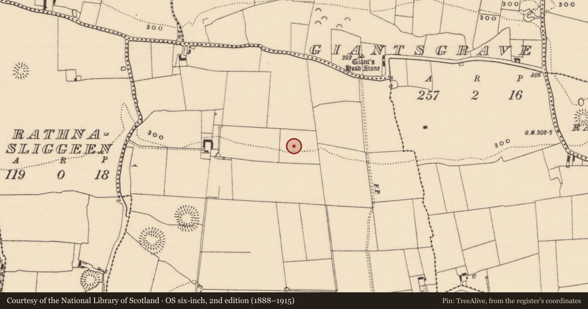 Ordnance Survey six-inch map, 2nd edition (1888–1915) covering the location of Enclosure, Lawlesstown (Kiltegan Par.), County Tipperary South, with a pin at the register's coordinates