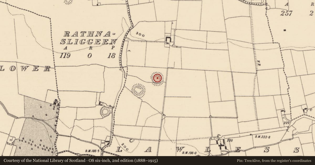 Ordnance Survey six-inch map, 2nd edition (1888–1915) covering the location of Ringfort - rath, Lawlesstown (Kiltegan Par.), County Tipperary South, with a pin at the register's coordinates