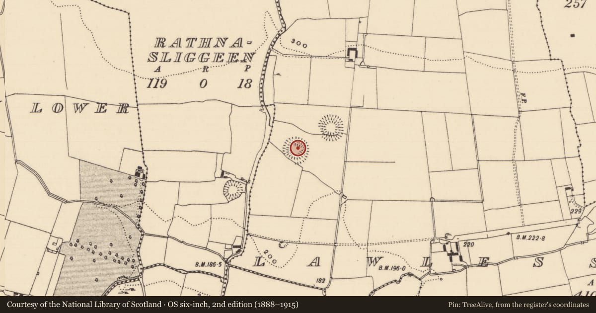 Ordnance Survey six-inch map, 2nd edition (1888–1915) covering the location of Enclosure, Lawlesstown (Kiltegan Par.), County Tipperary South, with a pin at the register's coordinates