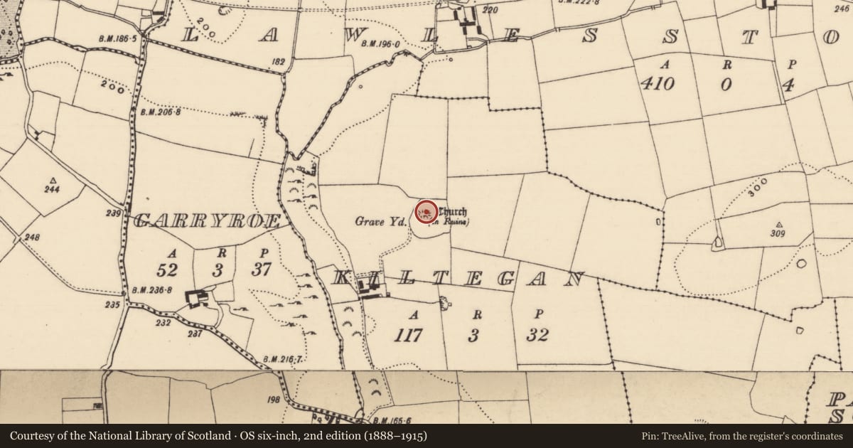 Ordnance Survey six-inch map, 2nd edition (1888–1915) covering the location of Church, Kiltegan, County Tipperary South, with a pin at the register's coordinates