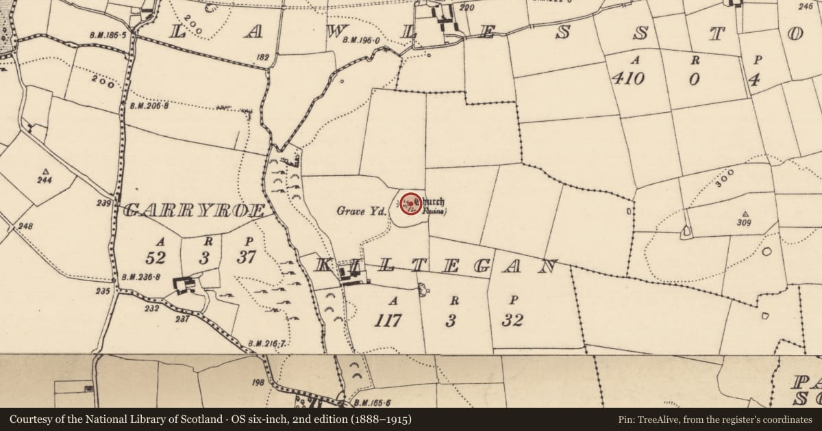 Ordnance Survey six-inch map, 2nd edition (1888–1915) covering the location of Ecclesiastical enclosure, Kiltegan, County Tipperary South, with a pin at the register's coordinates