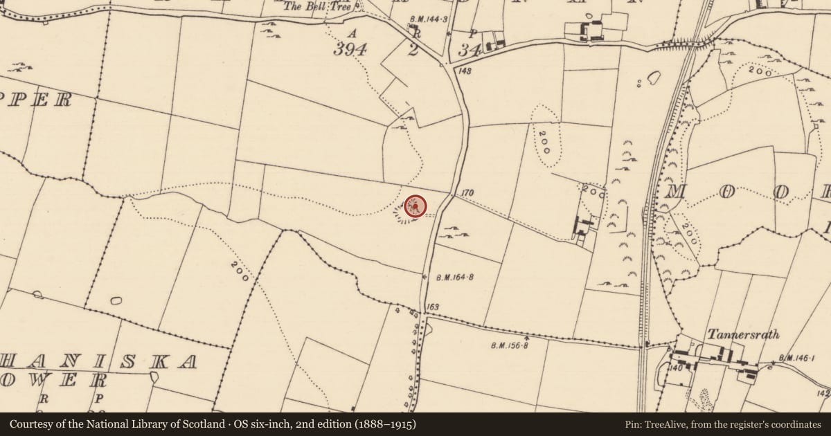 Ordnance Survey six-inch map, 2nd edition (1888–1915) covering the location of Enclosure, Rathronan, County Tipperary South, with a pin at the register's coordinates