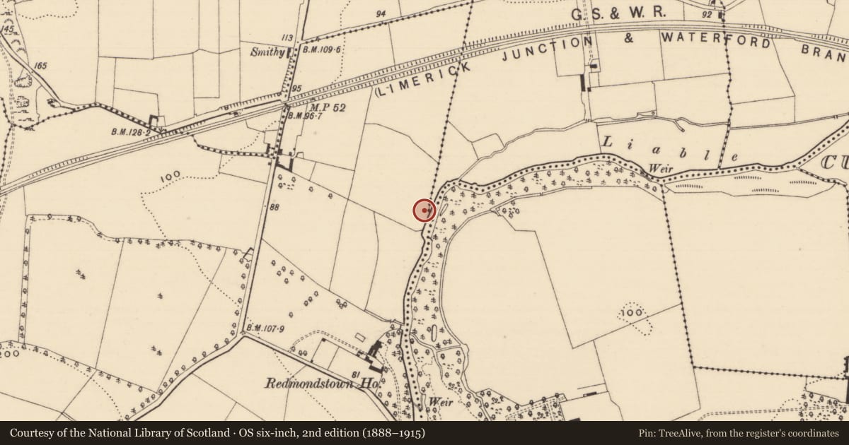 Ordnance Survey six-inch map, 2nd edition (1888–1915) covering the location of Castle - unclassified, Redmondstown, County Tipperary South, with a pin at the register's coordinates