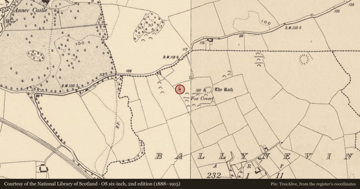 Ordnance Survey six-inch map, 2nd edition (1888–1915) covering the location of Enclosure, Ballynevin, County Tipperary South, with a pin at the register's coordinates