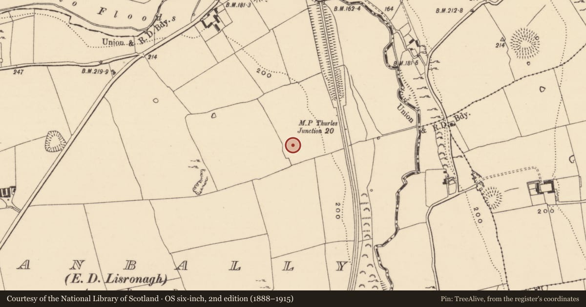 Ordnance Survey six-inch map, 2nd edition (1888–1915) covering the location of Enclosure, Shanbally (Lisronagh Par.), County Tipperary South, with a pin at the register's coordinates
