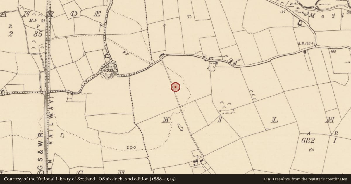 Ordnance Survey six-inch map, 2nd edition (1888–1915) covering the location of Enclosure, Kilmore (Lisronagh Par.), County Tipperary South, with a pin at the register's coordinates