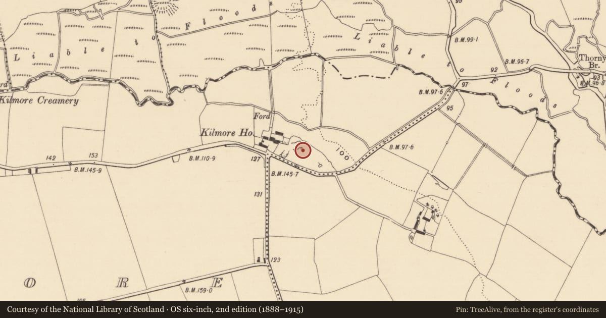 Ordnance Survey six-inch map, 2nd edition (1888–1915) covering the location of Enclosure, Kilmore (Lisronagh Par.), County Tipperary South, with a pin at the register's coordinates