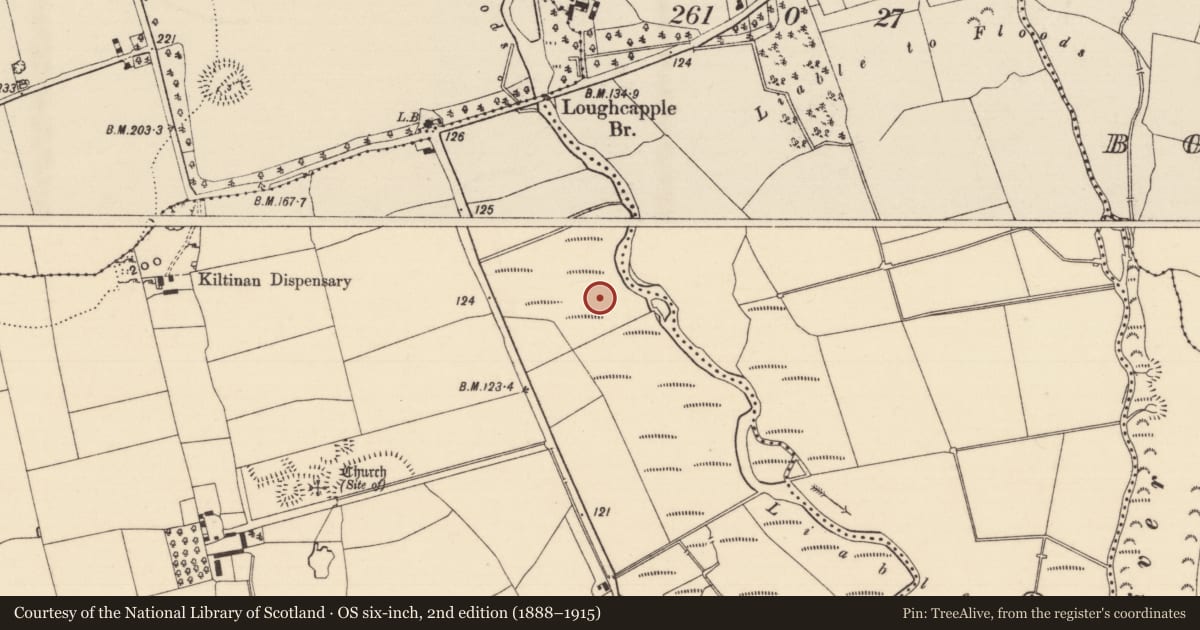 Ordnance Survey six-inch map, 2nd edition (1888–1915) covering the location of Enclosure, Grangebeg, County Tipperary South, with a pin at the register's coordinates