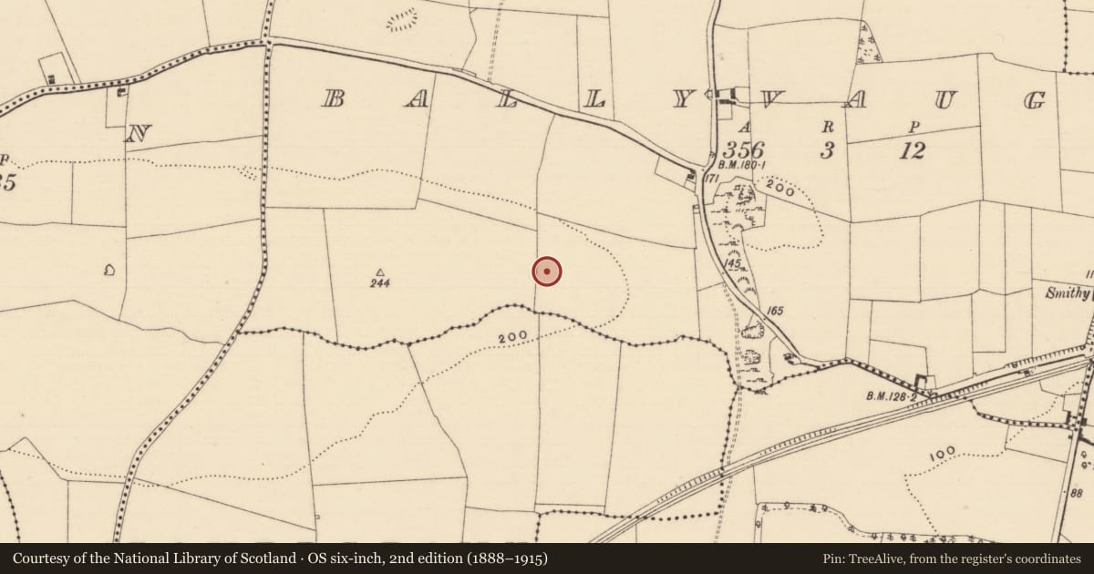 Ordnance Survey six-inch map, 2nd edition (1888–1915) covering the location of Enclosure, Ballyvaughan (Kilgrant Par.), County Tipperary South, with a pin at the register's coordinates