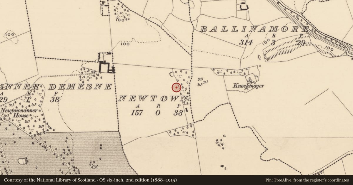 Ordnance Survey six-inch map, 2nd edition (1888–1915) covering the location of Enclosure, Newtown (Killaloan Par.), County Tipperary South, with a pin at the register's coordinates
