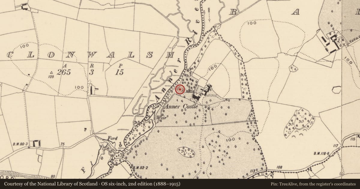 Ordnance Survey six-inch map, 2nd edition (1888–1915) covering the location of Earthwork, Ballinamore, County Tipperary South, with a pin at the register's coordinates