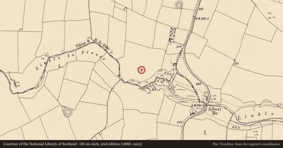 Ordnance Survey six-inch map, 2nd edition (1888–1915) covering the location of Enclosure, Clonacody, County Tipperary South, with a pin at the register's coordinates
