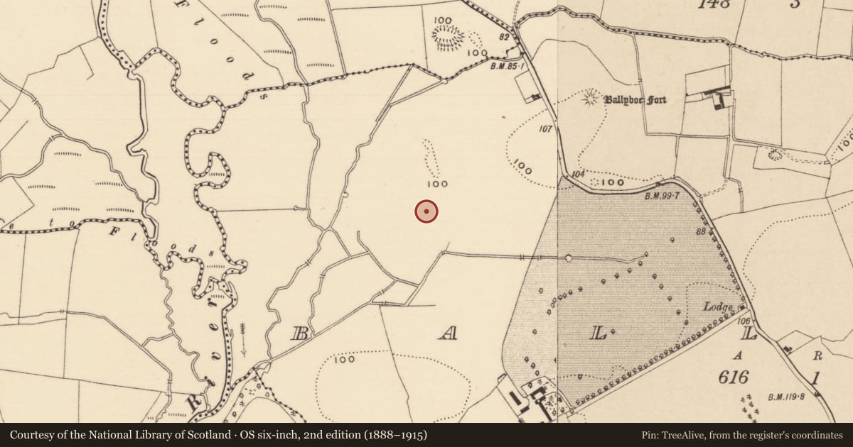 Ordnance Survey six-inch map, 2nd edition (1888–1915) covering the location of Enclosure, Ballyboe, County Tipperary South, with a pin at the register's coordinates