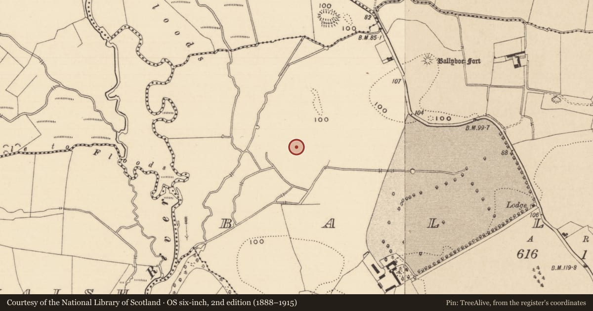 Ordnance Survey six-inch map, 2nd edition (1888–1915) covering the location of Enclosure, Ballyboe, County Tipperary South, with a pin at the register's coordinates