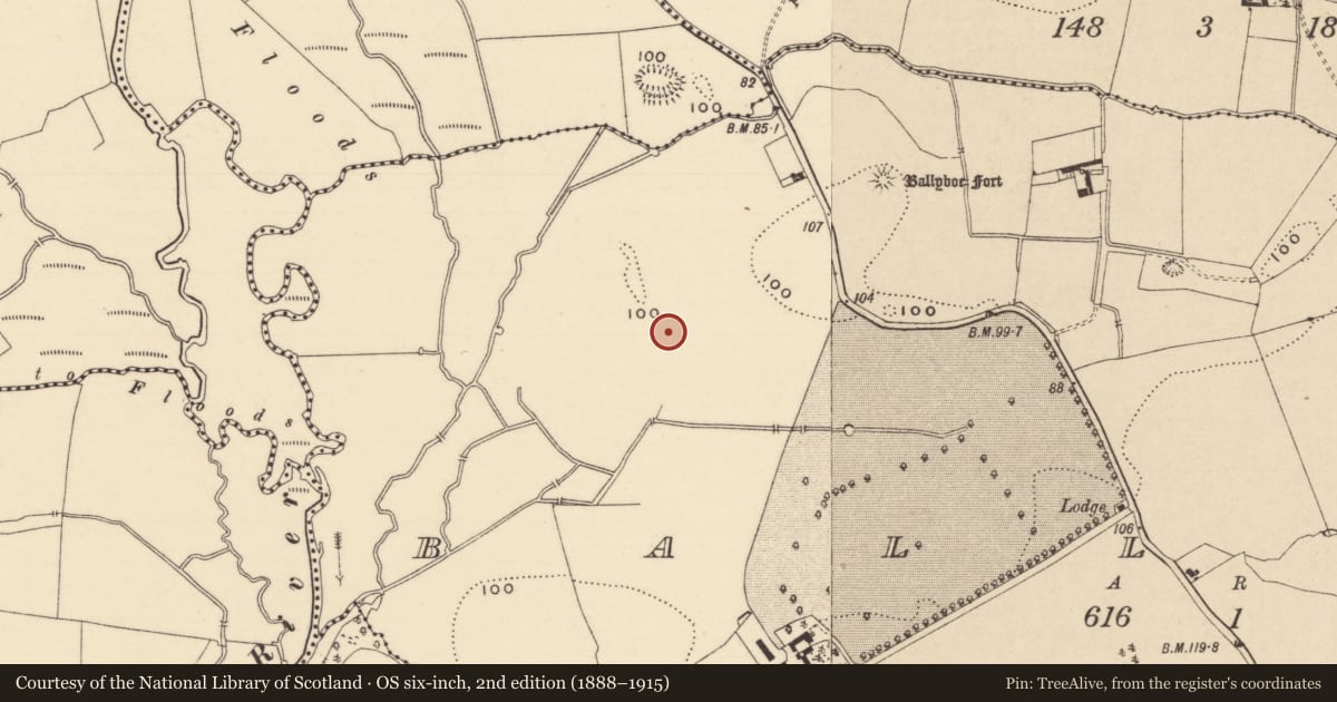 Ordnance Survey six-inch map, 2nd edition (1888–1915) covering the location of Enclosure, Ballyboe, County Tipperary South, with a pin at the register's coordinates