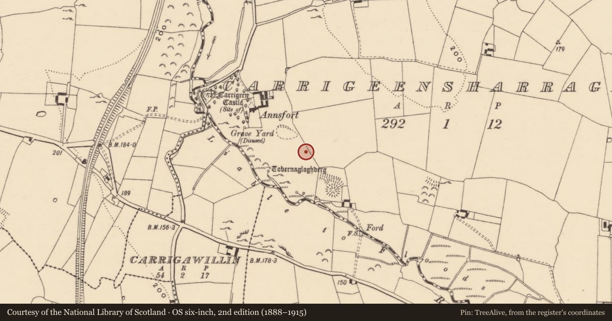 Ordnance Survey six-inch map, 2nd edition (1888–1915) covering the location of Road - road/trackway, Carrigeensharragh, County Tipperary South, with a pin at the register's coordinates