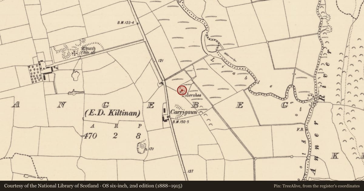 Ordnance Survey six-inch map, 2nd edition (1888–1915) covering the location of Well, Grangebeg, County Tipperary South, with a pin at the register's coordinates