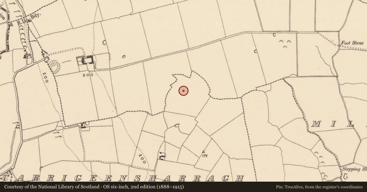 Ordnance Survey six-inch map, 2nd edition (1888–1915) covering the location of Enclosure, Carrigeensharragh, County Tipperary South, with a pin at the register's coordinates