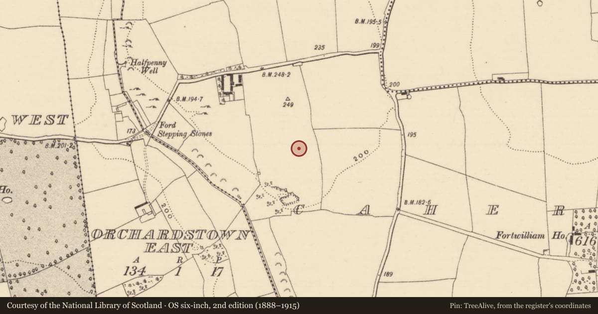 Ordnance Survey six-inch map, 2nd edition (1888–1915) covering the location of Enclosure, Caherclogh, County Tipperary South, with a pin at the register's coordinates