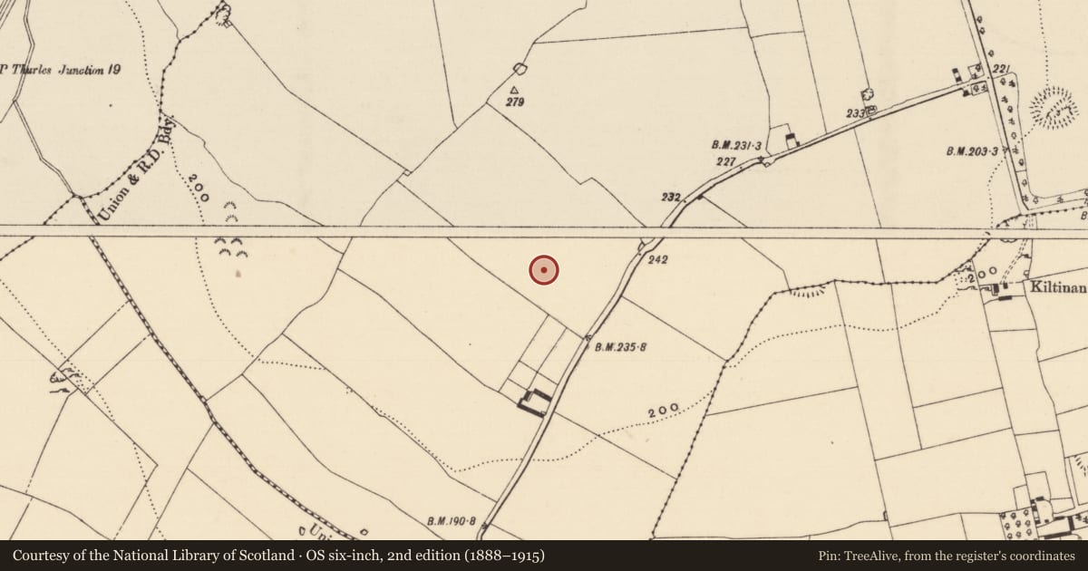 Ordnance Survey six-inch map, 2nd edition (1888–1915) covering the location of Enclosure, Kiltinan, County Tipperary South, with a pin at the register's coordinates